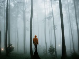 Preview wallpaper man, fog, loneliness, forest, trees