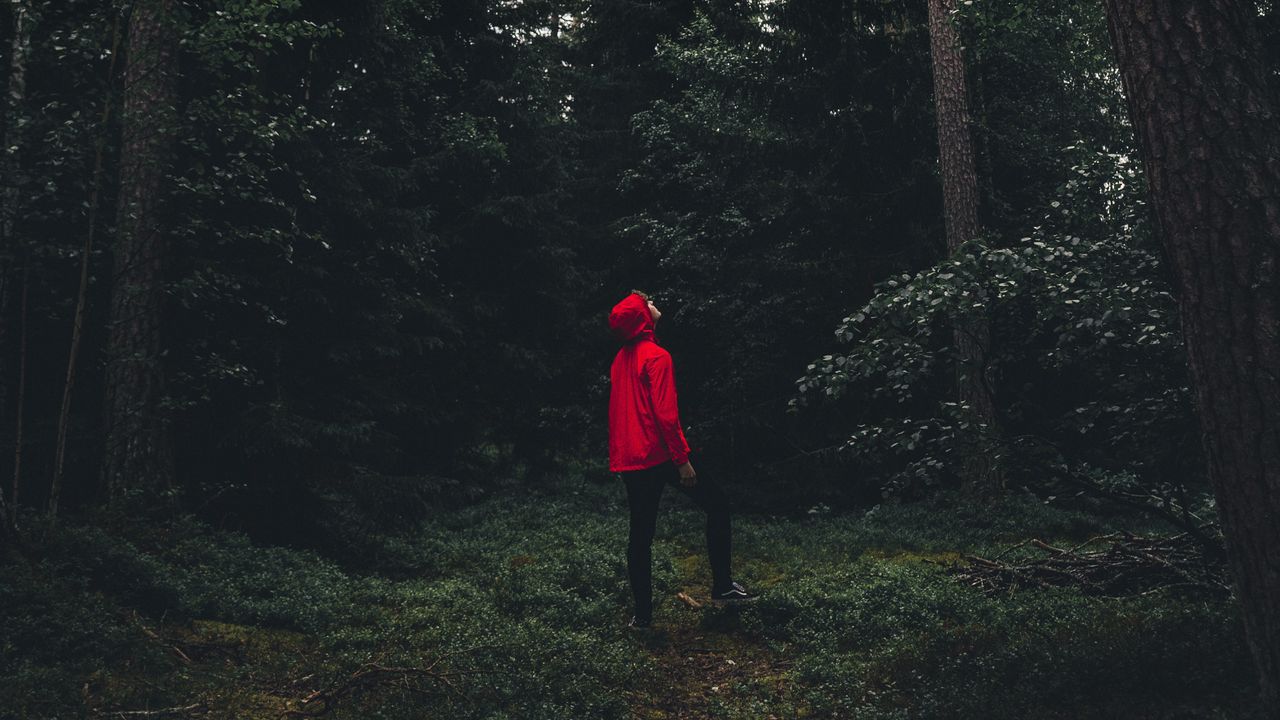 Wallpaper man, forest, alone, solitude, trees, sweden