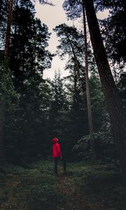 Preview wallpaper man, forest, alone, solitude, trees, sweden