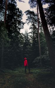 Preview wallpaper man, forest, alone, solitude, trees, sweden