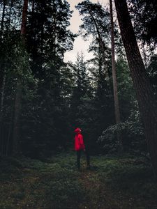 Preview wallpaper man, forest, alone, solitude, trees, sweden