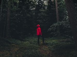 Preview wallpaper man, forest, alone, solitude, trees, sweden