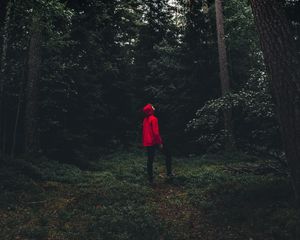 Preview wallpaper man, forest, alone, solitude, trees, sweden