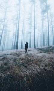 Preview wallpaper man, forest, fog, alone, nature