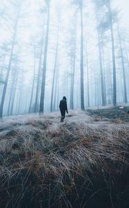 Preview wallpaper man, forest, fog, alone, nature