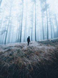 Preview wallpaper man, forest, fog, alone, nature