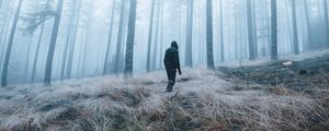 Preview wallpaper man, forest, fog, alone, nature