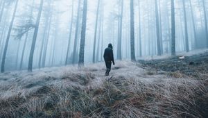 Preview wallpaper man, forest, fog, alone, nature