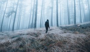 Preview wallpaper man, forest, fog, alone, nature