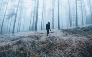 Preview wallpaper man, forest, fog, alone, nature