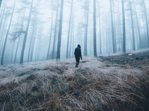 Preview wallpaper man, forest, fog, alone, nature