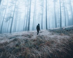Preview wallpaper man, forest, fog, alone, nature