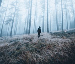 Preview wallpaper man, forest, fog, alone, nature