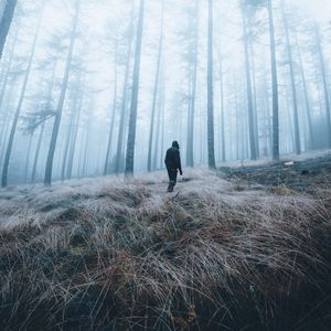 Preview wallpaper man, forest, fog, alone, nature