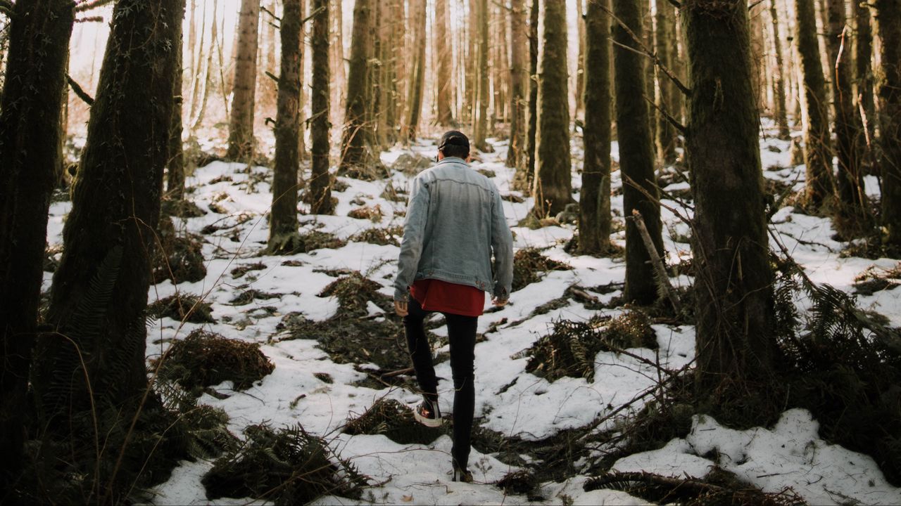 Wallpaper man, forest, loneliness, trees, snow