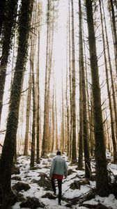 Preview wallpaper man, forest, loneliness, trees, snow