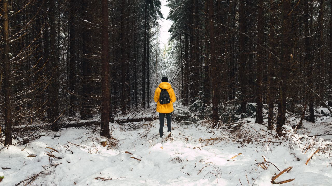 Wallpaper man, forest, snow, winter, trees