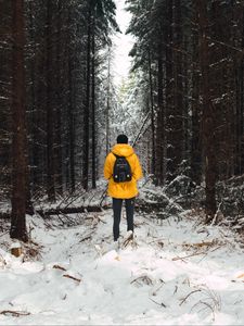 Preview wallpaper man, forest, snow, winter, trees