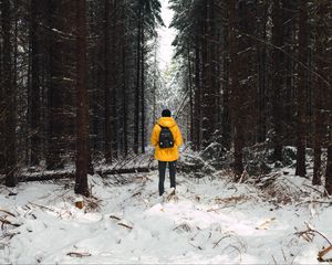 Preview wallpaper man, forest, snow, winter, trees