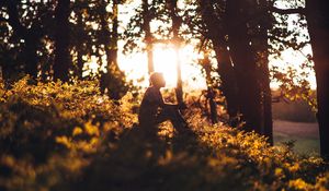 Preview wallpaper man, forest, sun, light, loneliness