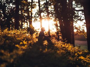 Preview wallpaper man, forest, sun, light, loneliness