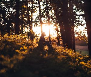 Preview wallpaper man, forest, sun, light, loneliness