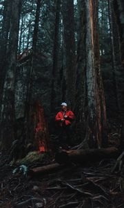 Preview wallpaper man, forest, trees, logs, nature