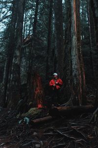 Preview wallpaper man, forest, trees, logs, nature