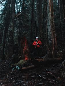 Preview wallpaper man, forest, trees, logs, nature
