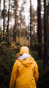Preview wallpaper man, forest, walk, yellow, nature
