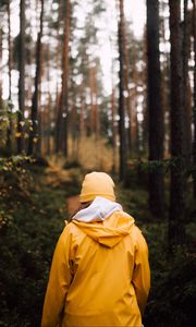 Preview wallpaper man, forest, walk, yellow, nature