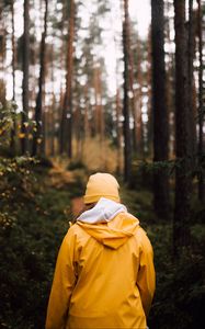 Preview wallpaper man, forest, walk, yellow, nature