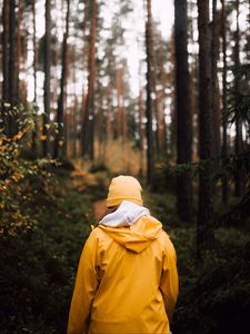 Preview wallpaper man, forest, walk, yellow, nature