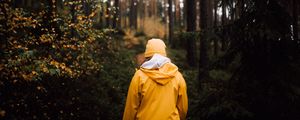 Preview wallpaper man, forest, walk, yellow, nature