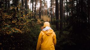 Preview wallpaper man, forest, walk, yellow, nature