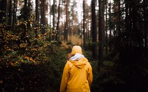 Preview wallpaper man, forest, walk, yellow, nature