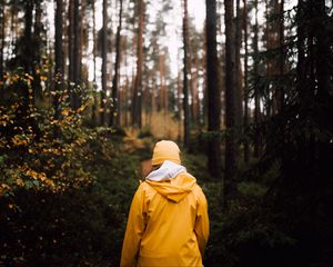 Preview wallpaper man, forest, walk, yellow, nature