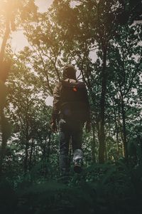 Preview wallpaper man, forest, walk, travel, nature