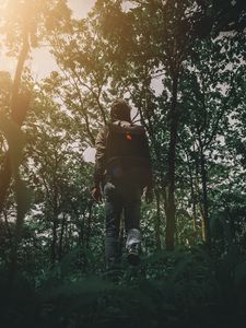 Preview wallpaper man, forest, walk, travel, nature