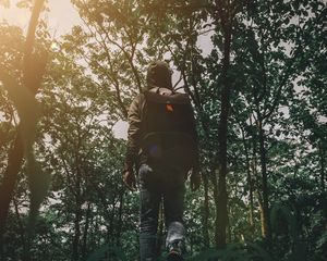 Preview wallpaper man, forest, walk, travel, nature