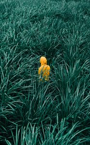 Preview wallpaper man, grass, walk, yellow, green