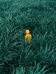 Preview wallpaper man, grass, walk, yellow, green
