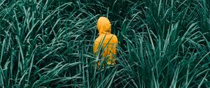 Preview wallpaper man, grass, walk, yellow, green