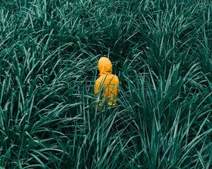 Preview wallpaper man, grass, walk, yellow, green