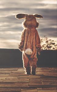 Preview wallpaper man, hare, alone