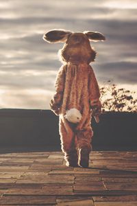 Preview wallpaper man, hare, alone
