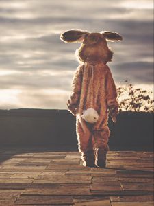 Preview wallpaper man, hare, alone