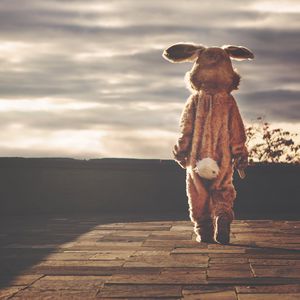 Preview wallpaper man, hare, alone