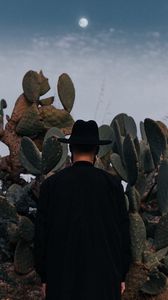 Preview wallpaper man, hat, cactus, alone, moon