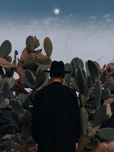 Preview wallpaper man, hat, cactus, alone, moon